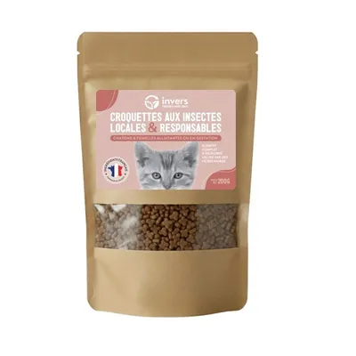 Croquettes aux insectes pour chatons et femelles allaintantes - Invers