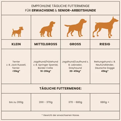 Dr John Gold mit Huhn für große Hunderassen – 2 x 15 kg