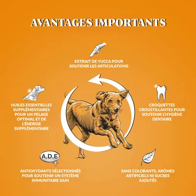 Dr John GOLD Poulet avec Légumes