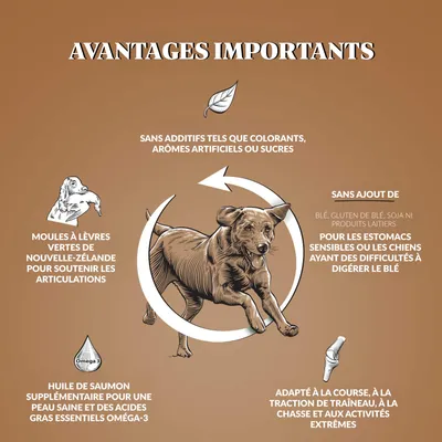 Dr John Hypoallergenic Activ