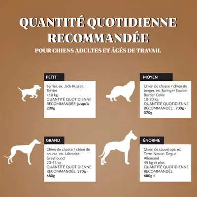 Dr John Hypoallergenic Activ