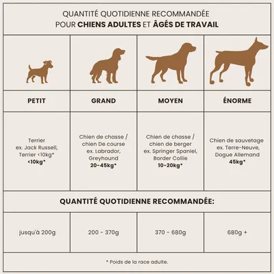 Croquettes chien actif – Dr John Hypoallergenic Activ Croquettes chien actif – Dr John Hypoallergenic Activ