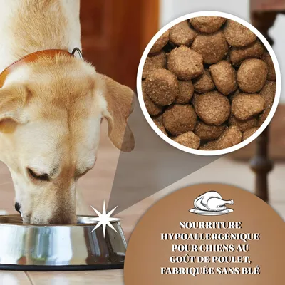 Dr John Hypoallergenic Activ