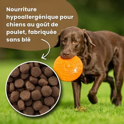 Croquettes chien actif – Dr John Hypoallergenic Activ