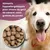 Croquettes chien adulte – Dr John Canard & Saumon Croquettes chien adulte – Dr John Canard & Saumon