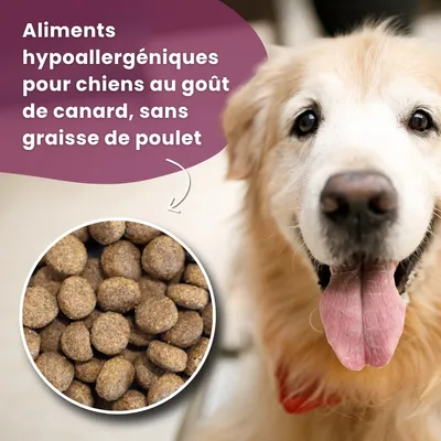 Croquettes chien adulte – Dr John Canard & Saumon Croquettes chien adulte – Dr John Canard & Saumon