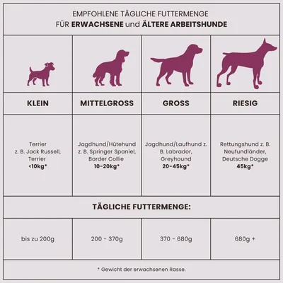Dr John mit Ente & Lachs für ausgewachsene Hunde – 2 x 12.5 kg