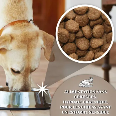 Dr John Poulet et Pommes de terre sans Céréales