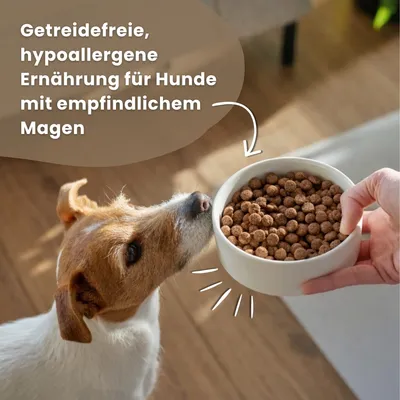Dr John Getreidefrei mit Huhn für ausgewachsene Hunde – 2 x 12,5 kg