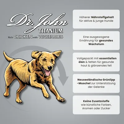 Dr John Titanium mit Huhn – Active & Junior, 2 x 15 kg