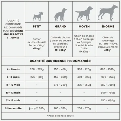 Croquettes chien actif & junior – Dr John Titanium Poulet