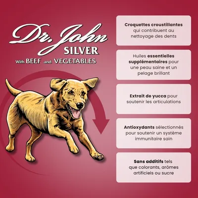 Croquettes chien adulte – Dr John Silver Bœuf