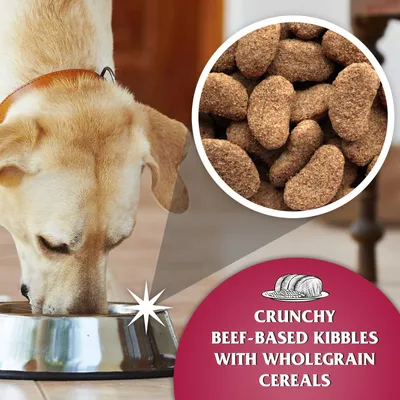 Dr John Silver Bœuf aux Légumes