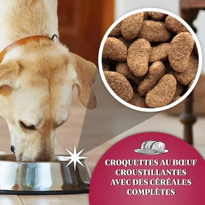 Dr John Silver Bœuf aux Légumes