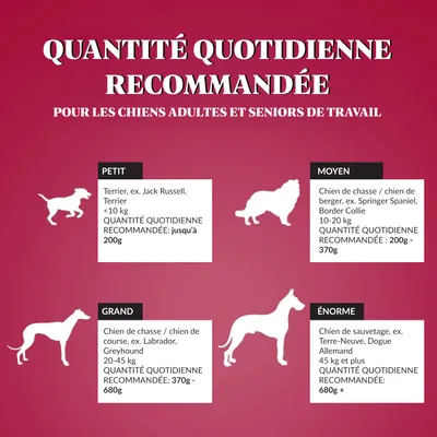 Dr John Silver Bœuf aux Légumes