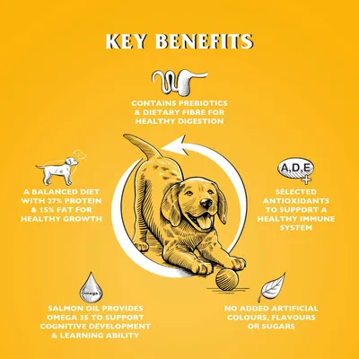 Dr John PUPPY Poulet