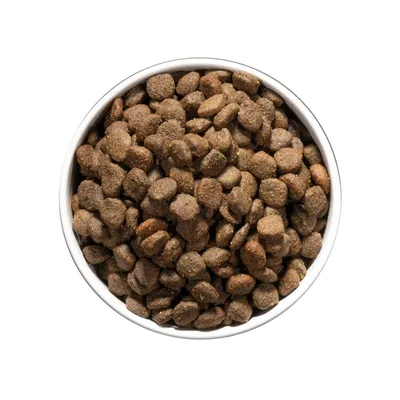 OWNAT - Chien Care Digestive 10kg