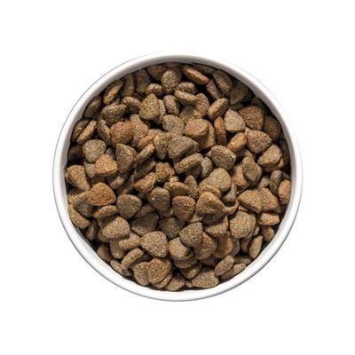 OWNAT - Chien Care Mobility 10kg