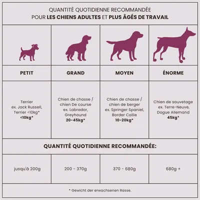 Croquettes chien adulte – Dr John Canard & Saumon Croquettes chien adulte – Dr John Canard & Saumon