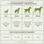 Croquettes chien adulte – Dr John Agneau & Riz