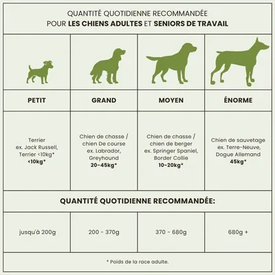 Croquettes chien adulte – Dr John Agneau & Riz