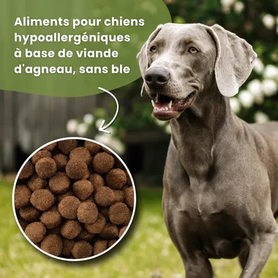Croquettes chien adulte – Dr John Agneau & Riz