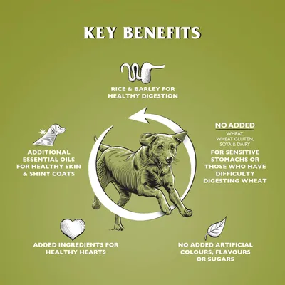 Dr John Agneau avec du Riz Hypoallergénique