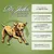 Croquettes chien adulte – Dr John Agneau & Riz Croquettes chien adulte – Dr John Agneau & Riz