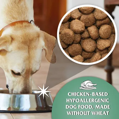 Croquettes chien adulte – Dr John Poulet & Avoine Croquettes chien adulte – Dr John Poulet & Avoine