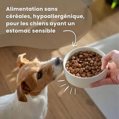 Croquettes chien adulte sans céréales – Dr John Poulet