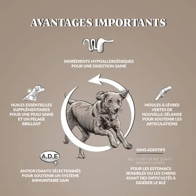 Dr John Poulet et Pommes de terre sans Céréales