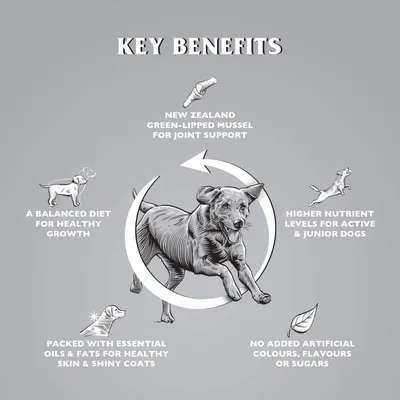 Dr John Titanium Poulet avec Légumes