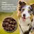 Dr John Titanium mit Huhn – Active & Junior, 4 kg