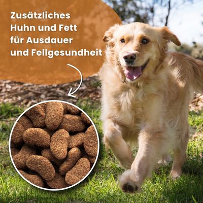 Dr John Gold mit Huhn für große Hunderassen