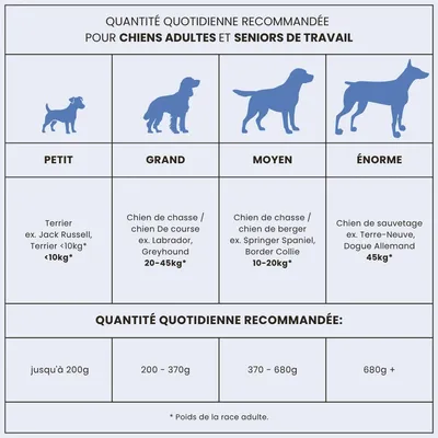 Croquettes chien senior & light – Dr John Silver Poulet