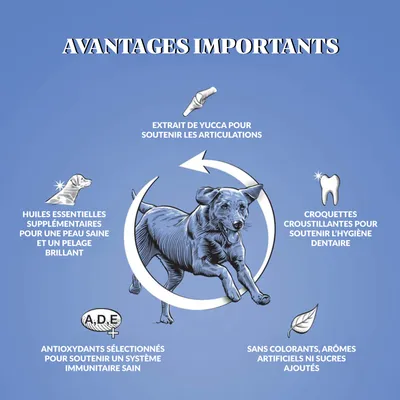 Dr John Silver Poulet aux Légumes