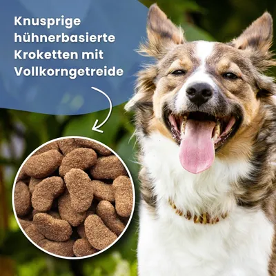 Dr John Silver mit Huhn – Senior & Light Hundefutter, 2 x 4 kg Dr John Silver mit Huhn – Senior & Light Hundefutter, 2 x 4 kg