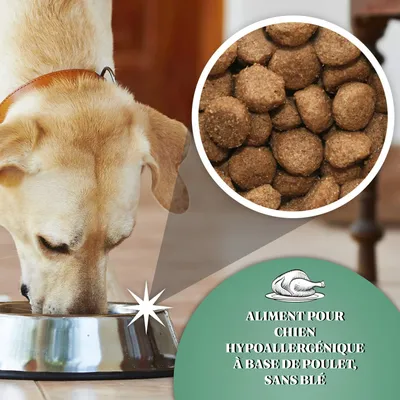 Dr John Hypoallergenic Poulet à L'avoine