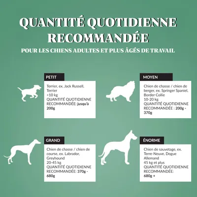 Dr John Hypoallergenic Poulet à L'avoine