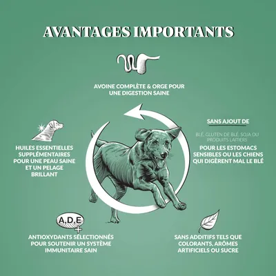 Dr John Hypoallergenic Poulet à L'avoine