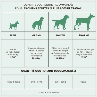 Croquettes chien adulte – Dr John Poulet & Avoine