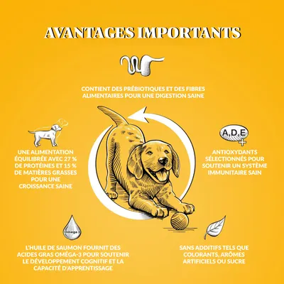 Dr John PUPPY Poulet