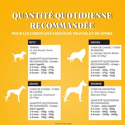 Dr John PUPPY Poulet