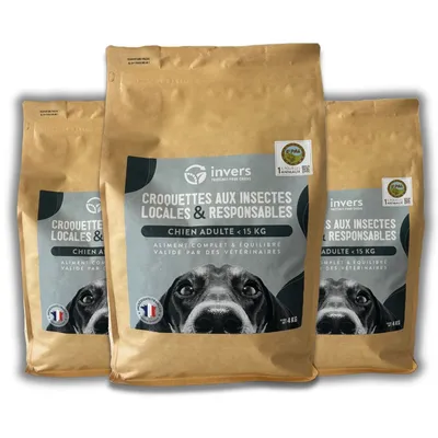 Croquettes aux insectes pour chien de petite taille - Invers