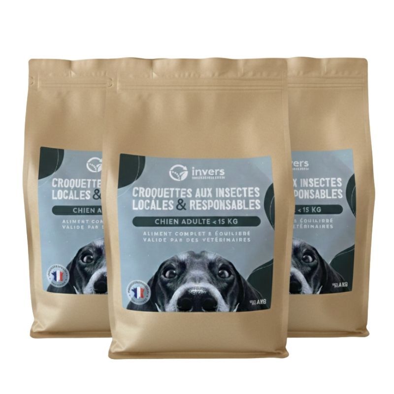 Croquettes aux insectes pour chien de petite taille - Invers
