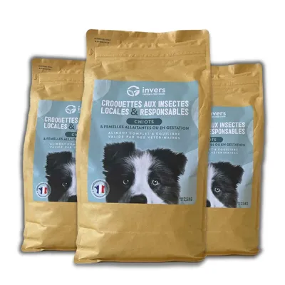 Croquettes aux insectes pour chiots et femelles allaitantes - Invers Croquettes aux insectes pour chiots et femelles allaitantes - Invers