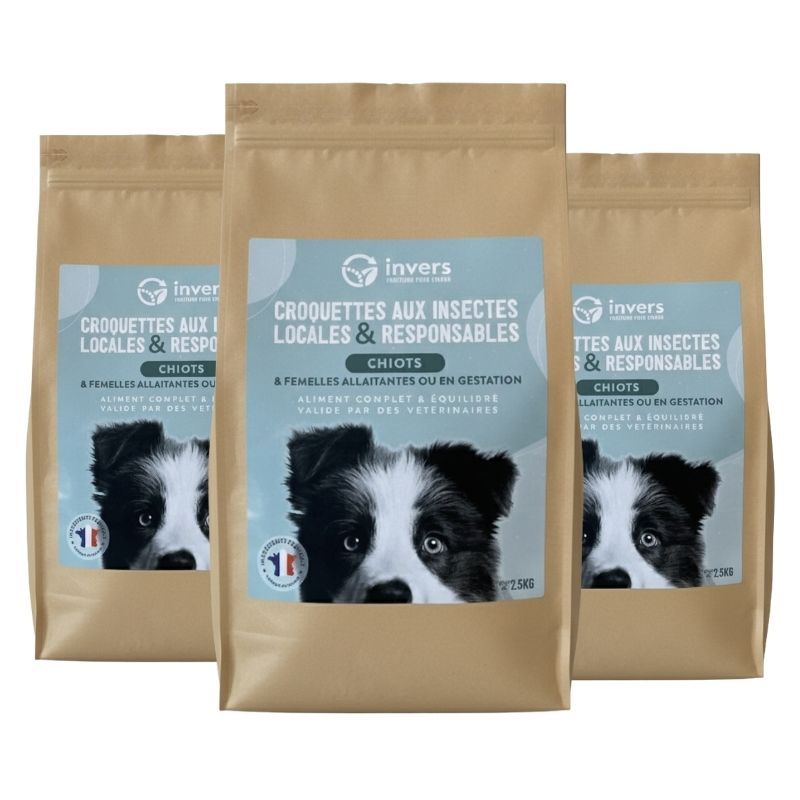 Croquettes aux insectes pour chiots et femelles allaitantes - Invers