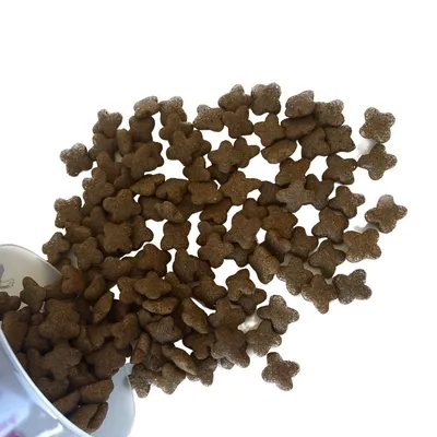 Croquettes aux insectes pour chiots et femelles allaitantes - Invers