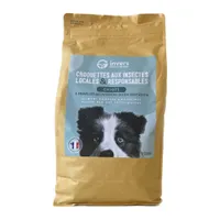 Croquettes aux insectes pour chiots et femelles allaitantes - Invers