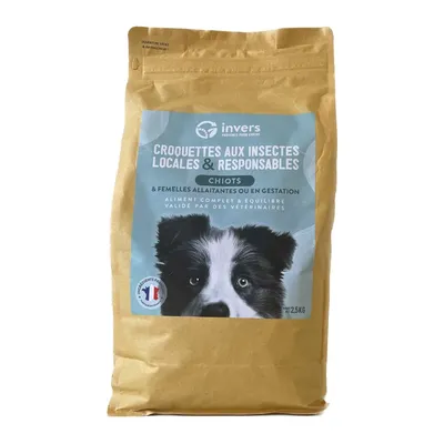 Croquettes aux insectes pour chiots et femelles allaitantes - Invers